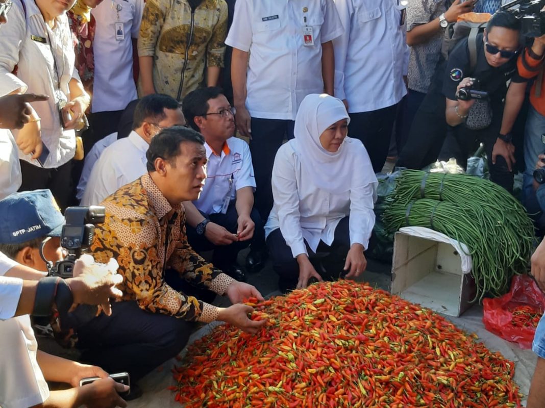 Kementan Kembangkan Pasar Lelang Cabai di 20 Kabupaten