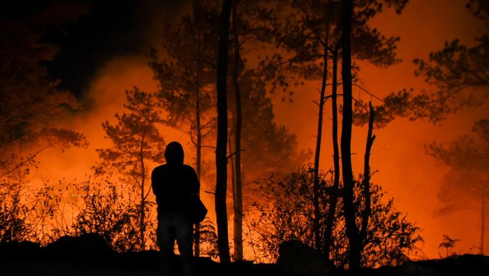 Kebakaran Hutan dan Lahan