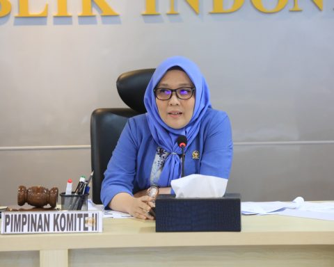 Wakil Ketua Komite II DPD RI Aji Mirni Mawarni/Foto: Dok DPD RI
